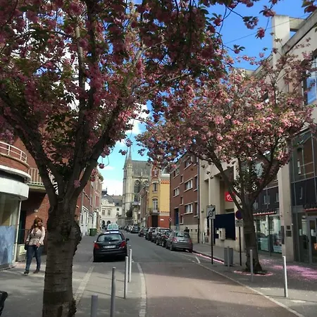 Le Bristol Centre Апартаменты Амьен